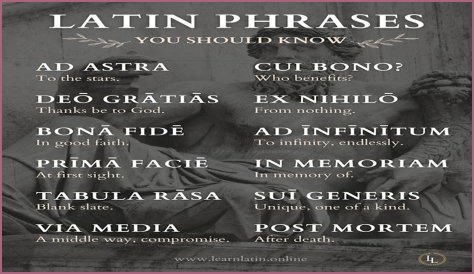 A Profile Of A Latin Beauty