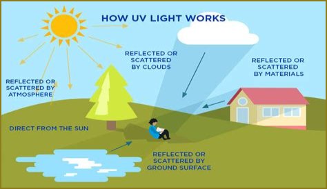 What are the two types of UV light?